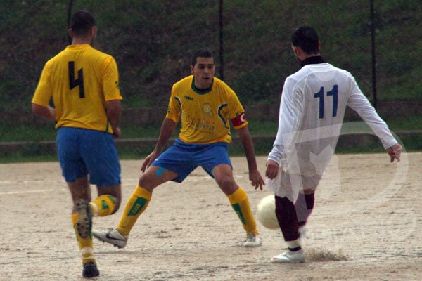 Samatzai-Girasole0-4 Canu contrasta Secci-G.