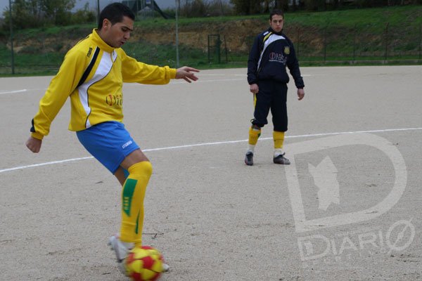Samatzai-Girasole0-4