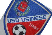 Usinese