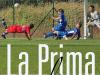 Villagrande e Cus Cagliari esagerano all'esordio