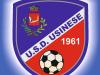 Usinese logo