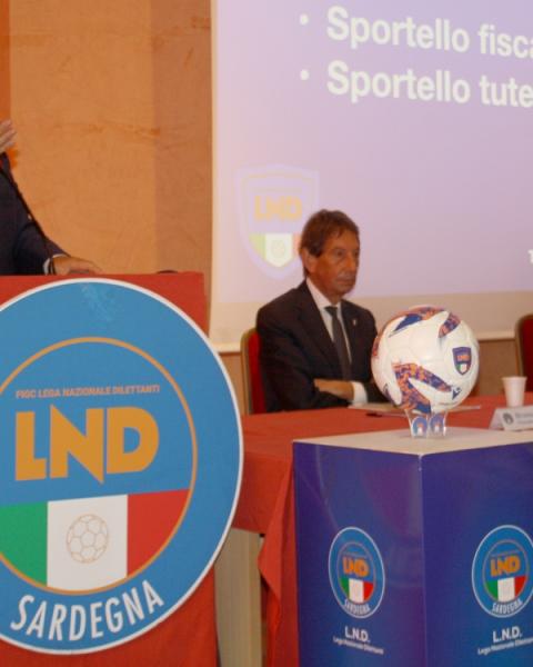 Gianni Cadoni, presidente, Figc