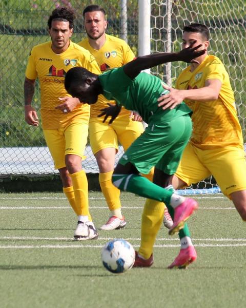 Abdou Niang, centrocampista, Sant'Elena