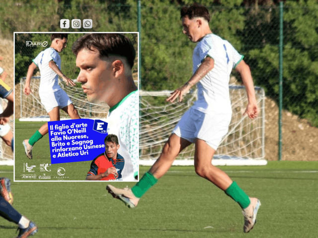 Favio O'Neill, centrocampista, Nuorese
