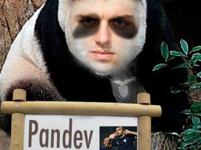 E ora dove andrà Pandev?