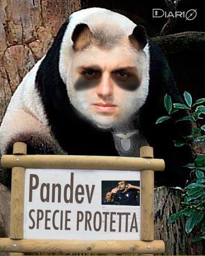 E ora dove andrà Pandev?