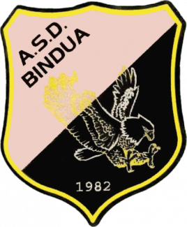 Bindua