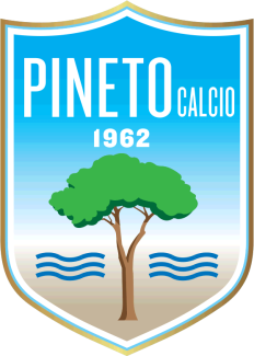 Pineto Calcio